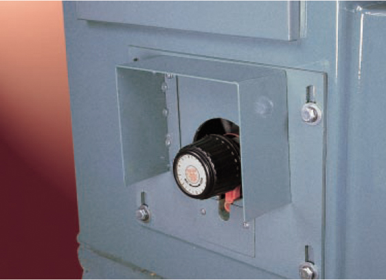 Variable Feed Speed (Optinal)