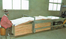 PB-II/24 / PB-II/30 - Continous Planking Line 24m/30m 1