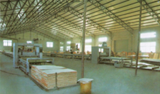 PB-II/24 / PB-II/30 - Continous Planking Line 24m/30m 2