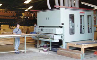 Top Sander (Industrial Type) Belt Feeding Conveyor 6