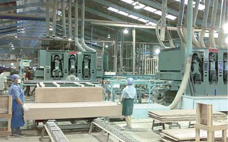 Top Sander (Industrial Type) Belt Feeding Conveyor 7