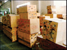 Curved Wood Forming Press series 4