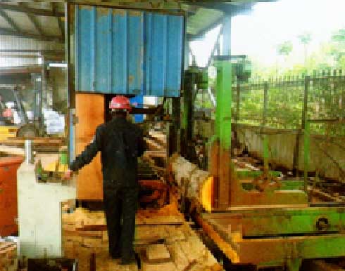 Bowens MJ3212-5000 MJ3212B-5000 Vertical Band Sawmill With CNC Log Carriage