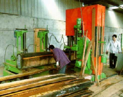 Bowens MJ3212-5000 MJ3212B-5000 Vertical Band Sawmill With CNC Log Carriage