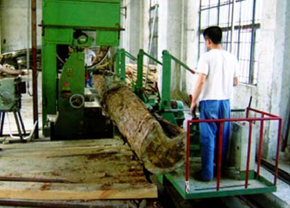 Bowens MJ3310-3000 MJ3310-5000 Vertical Band Sawmill With Log Carriage