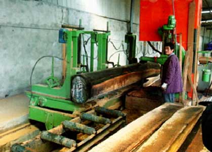 Bowens MJ3310-3000 MJ3310-5000 Vertical Band Sawmill With Log Carriage