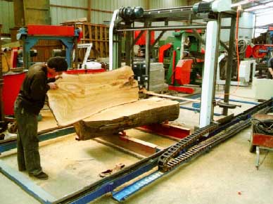 Bowens DDLJ1500E QYLJ1500P Large Scale Chain Saw