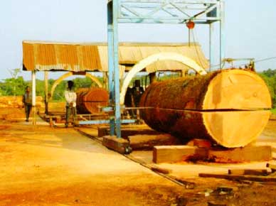 Bowens DDLJ1500E QYLJ1500P Large Scale Chain Saw