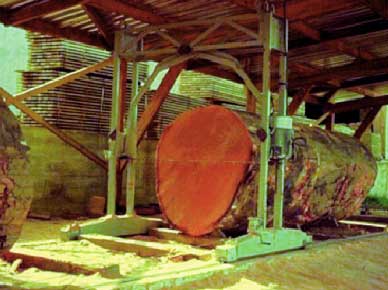 Bowens DDLJ1500E QYLJ1500P Large Scale Chain Saw