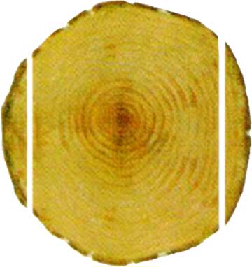 Bowens SLS350 SLS500 Twin Vertical Saw