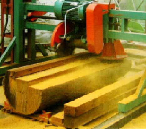 Bowens DS700 DS1300 DS2000 Double Saw Blade Angle Sawmill