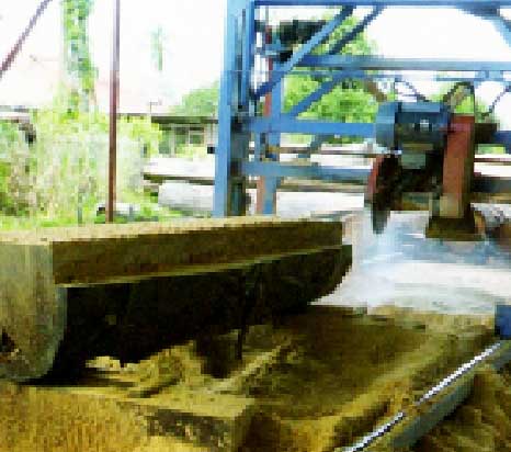 Bowens DS700 DS1300 DS2000 Double Saw Blade Angle Sawmill