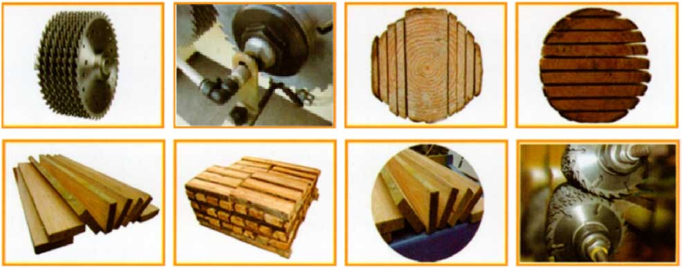 Bowens SH80-300 SH120-250 SH160-250 SH120-300 SH160-300 SH160-400 Double Spindle Panel Cutting Multiple Blade Rip Saw